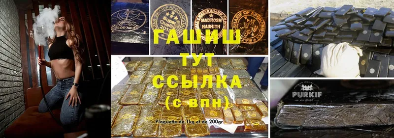 ГАШ Premium  Тара 